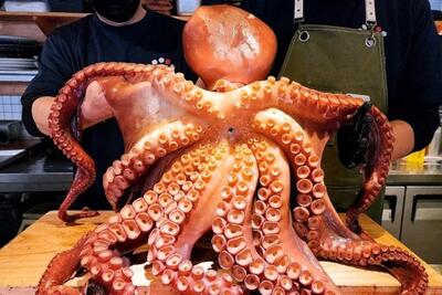  تبلیغ لاکچری‌ها جنجال آفرید؛ خرچنگ و هشت‌پا بازار را ملتهب کردند