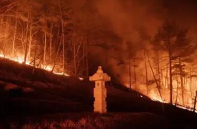  آتش‌سوزی گسترده در ده‌ها هکتار از جنگل‌های کره جنوبی