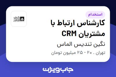  استخدام کارشناس ارتباط با مشتریان CRM - خانم در نگین تندیس الماس