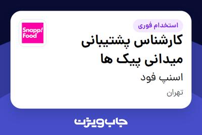  استخدام کارشناس پشتیبانی میدانی پیک ها - آقا در اسنپ فود