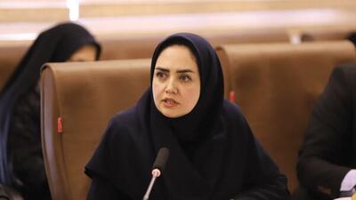  سرمایه گذاری ۳۷ همتی بخش خصوصی در ۸۹ طرح گردشگری اردبیل