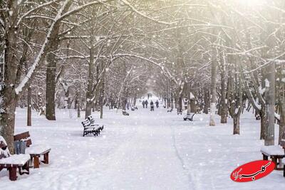  ببینید | بارش برف در پردیس تهران - کلبه سرگرمی