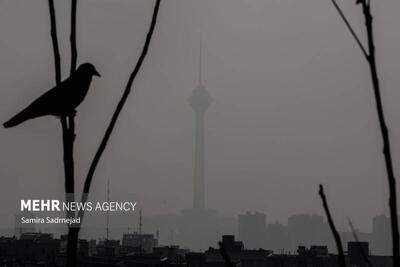  بارندگی هم حریف آلودگی هوای تهران نشد
