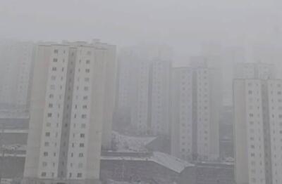  فیلم/ بارش برف در پردیس تهران