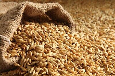 صنعت دامپروری گلستان زیر سنگینی چندبرابری قیمت نهاده ها