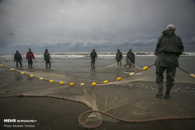  اعلام وضعیت سطح نارنجی در استان هرمزگان