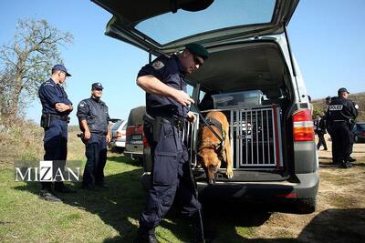  آیس آمریکایی یا فرانتکس اروپایی؛ دو روی سکه سرکوب مهاجران