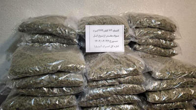  بازداشت گل فروش سعادت‌آباد با ۷ کیلو گل!