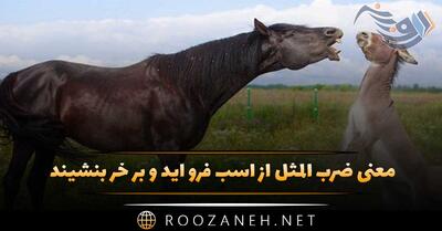  معنی ضرب المثل از اسب فرو آید و بر خر بنشیند (داستان و کاربرد)