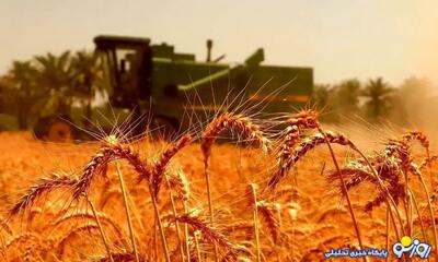  قیمت گندم ۵۰هزار تومان می شود؟
