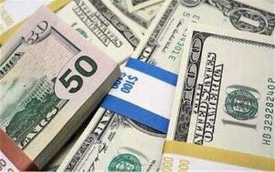  قیمت دلار امروز ‌یکشنبه 19 بهمن 1404؛ دلار چند شد؟