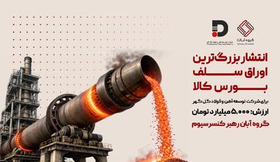  گروه آبان، رهبر کنسرسیوم این تأمین مالی