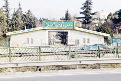  حیات جوامع در گرو حفظ منابع‌ طبیعی