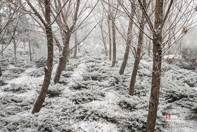  هشدار نارنجی بارندگی در برخی مناطق کشور، برای امروز