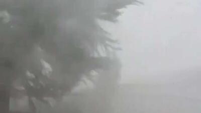  سیل شدید جنوب شرقی برزیل را درنوردید