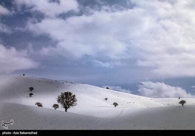  عکس | زیبایی طبیعت برفی مناطق سردسیر خرم‌آباد
