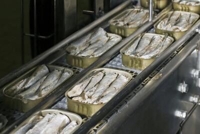  نگاهی به صنعت جهانی کنسرو ماهی تا ۲۰۳۳؛ سهم ۱۰درصدی کنسرو ماهی از تجارت جهانی ماهی