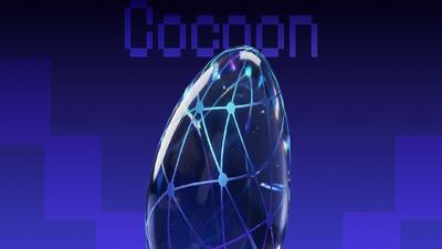  روش‌های کسب درآمد از شبکه Cocoon تلگرام