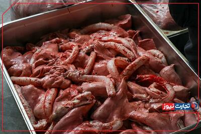  قیمت گوشت قرمز امروز 19 بهمن ۱۴۰۴ / بازار آرام است + جدول