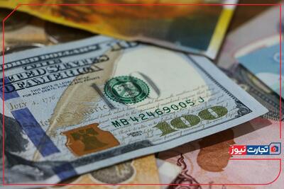  قیمت دلار امروز یکشنبه 19 بهمن 1404 / دلار عقب‌نشینی کرد + قیمت جدول ارزها