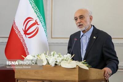  صالحی: مالکیت معنوی نماد شیر و خورشید متعلق به ایران است