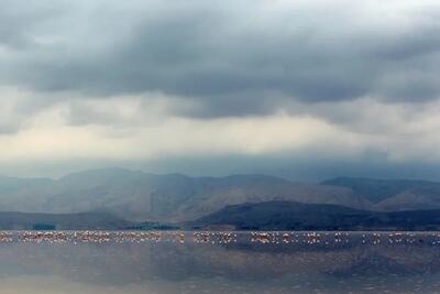  بارش ۷۵ تا ۱۰۰ میلیمتری در برخی مناطق