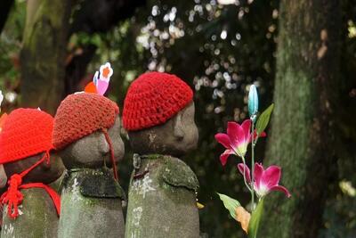  ریشه بسیاری از سقط‌جنین‌ها به دوران پیش از تولد مادر بازمی‌گردد