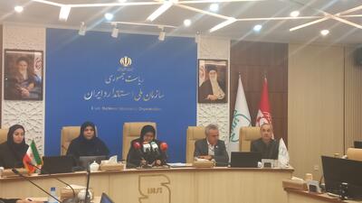  توقف تولید برخی از خودرو‌های تولید داخل به دلیل عدم تایید استاندارد+ فیلم