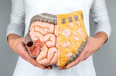  این خوراکی مخصوص کسانی که است که نگران گوارش خود هستند