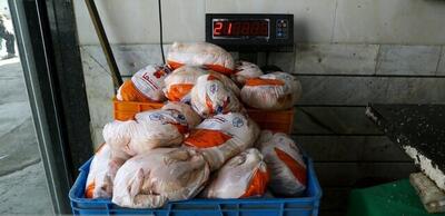  مرغ به زیر ۲۰۰ هزار تومان رسید