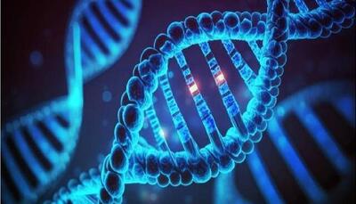  اوریگامی DNA، کلید نظم‌بخشی مولکولی در نیمه‌رساناهای دوبعدی