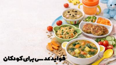  فواید عدس برای کودکان + طرز تهیه انواع غذا با عدس برای کودکان