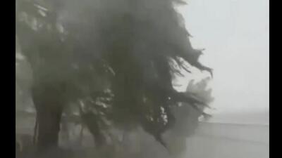  طوفان و سیل شدید برزیل را درنوردید