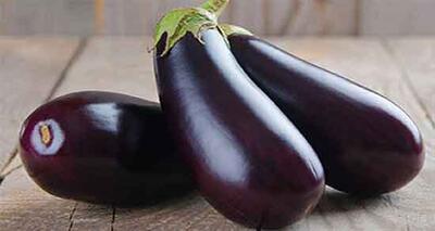  دستور پخت غذای مدیترانه‌ای متفاوت / تن ماهی و بادمجان در یک ترکیب جذاب / مناسب طرفداران غذاهای سالم | اندیشه قرن