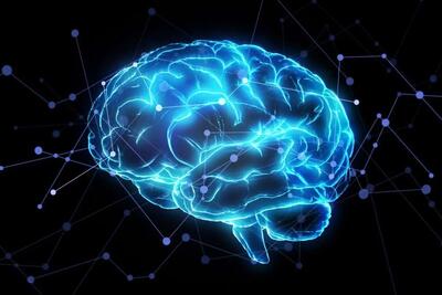  مدیتیشن فعالیت مغز را تغییر می‌دهد / کشف علمی تازه درباره ذهن انسان / چه بخش‌هایی از مغز دگرگون می‌شوند؟