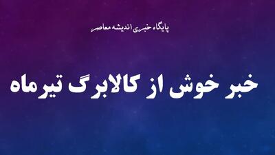  شارژ کالابرگ دهک‌های درآمدی چهارم تا هفتم آغاز شد / مشمولان دهک‌های میانی می‌توانند اعتبار جدید خود را از امروز دریافت کنند