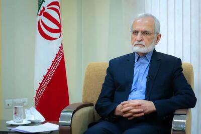  کمال خرازی: در گذشته در قبال همسایگان اشتباه کردیم