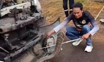  پیدا شدن شاه کبرای ۴ متری در محفظه موتور یک وانت!