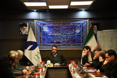  نگاه ویژه شهردار و اعضای شورای شهر به چند پروژه شرکت توسعه فضاهای فرهنگی