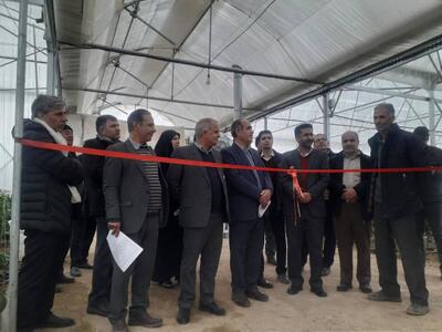  گلخانه سبزی و صیفی جات در شهرستان بروجن افتتاح شد
