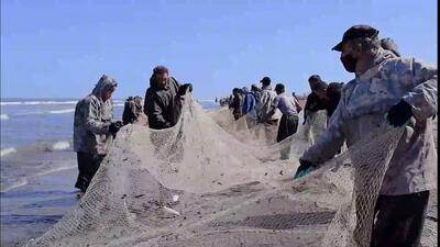  پخش مستند «آنجا که تور‌ها رها شدند»، نگاهی به یک آسیب زیست محیطی در دریای کاسپین