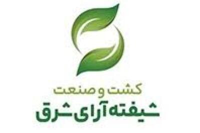  رشد 115 درصدی سود خالص «شیفته»