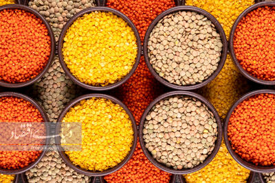  قیمت انواع حبوبات غیرشرکتی اعلام شد/ لوبیا چیتی درجه یک کیلویی چند؟