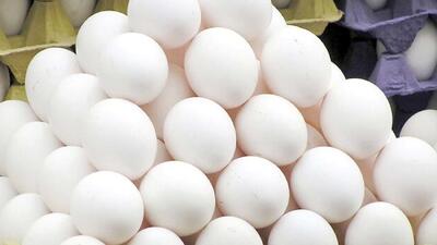  شوک تازه به سفره مردم/ تخم‌مرغ ۶۳ درصد گران شد