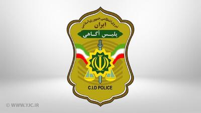  قاتل «ملیکا» دستگیر شد/ پلیس:  این حادثه ارتباطی با تاکسی‌های اینترنتی نداشته است