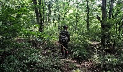  زندگی سخت قرق‌بانان جنگل‌های مازندران با دو ماه حقوق معوقه/ مسئولان ناکارآمد باید کنار بروند