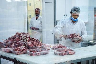  قیمت جدید دام زنده