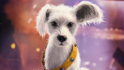  تریلر جدید فیلم Supergirl دیدار میلی آلکاک با کریپتو را نشان می‌دهد | گیمفا