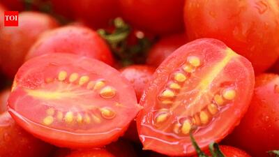  گنجینه‌ای پنهان در دل گوجه فرنگی: فواید و خواص شگفت‌انگیز دانه گوجه فرنگی