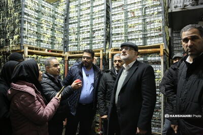  توزیع اقلام ماه رمضان در بازارهای تره بار +فیلم